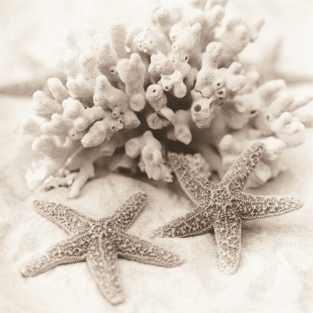 Similar wall art painting: 14698