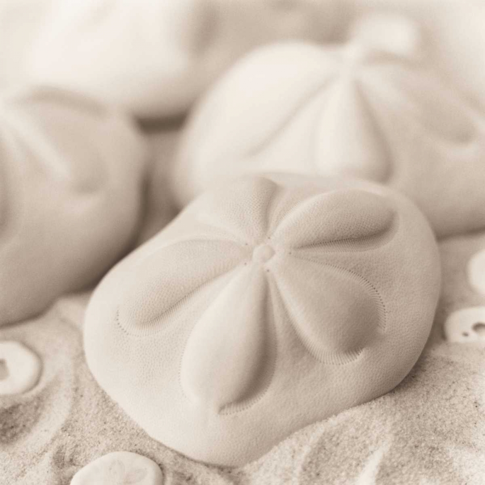 Similar wall art painting: 14701