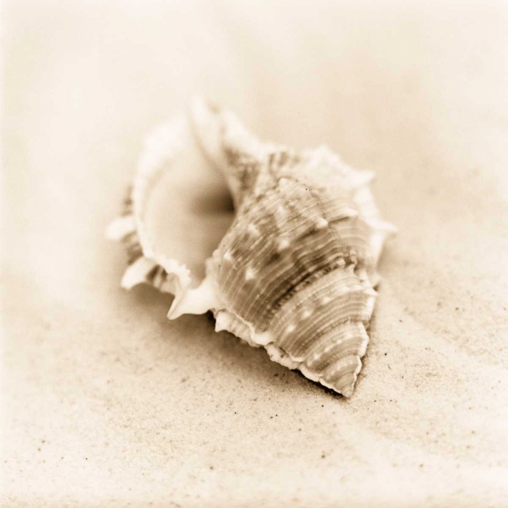 Similar wall art painting: 14684