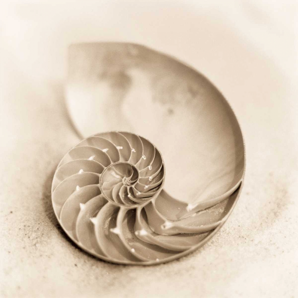 Similar wall art painting: 14685