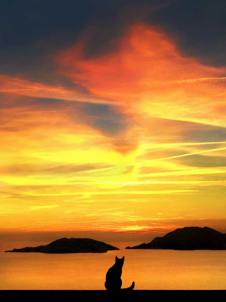 Similar wall art painting: 65484