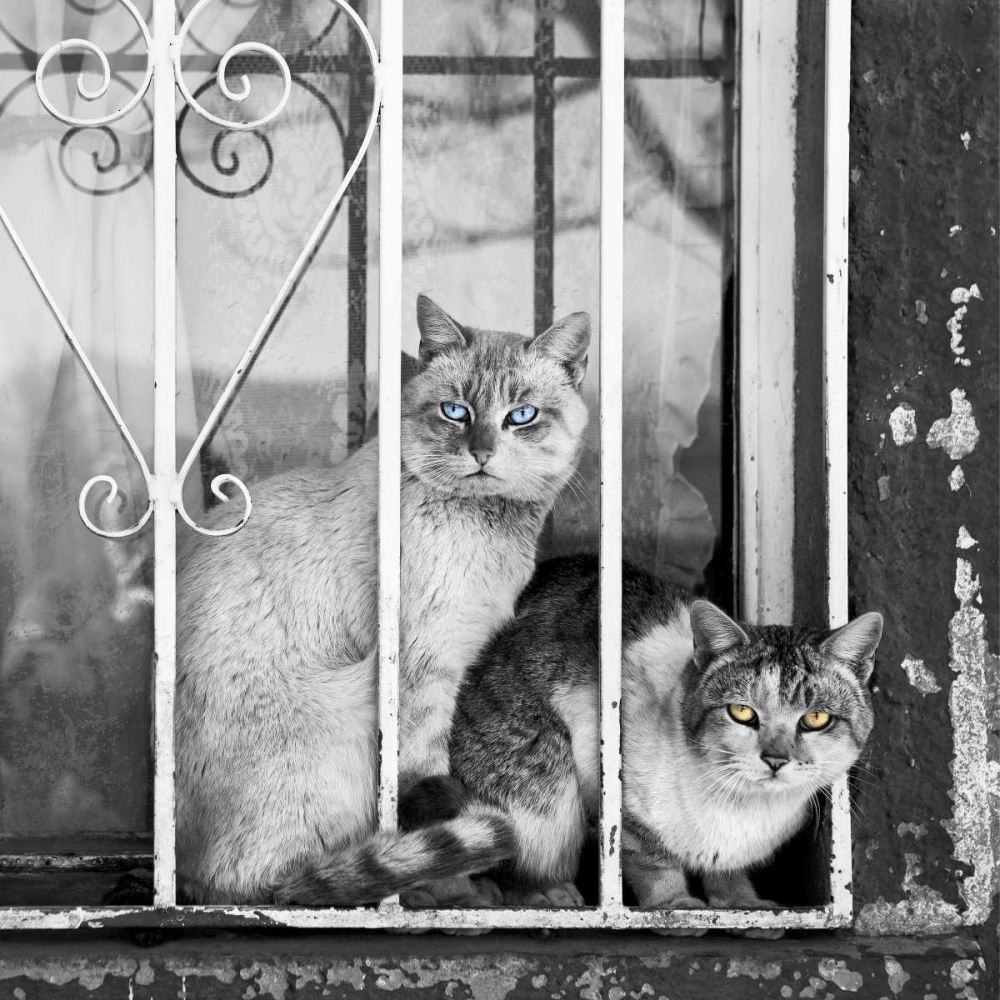 Similar wall art painting: 65678