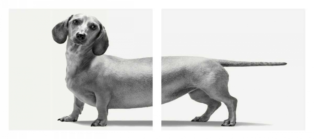 Similar wall art painting: 66259