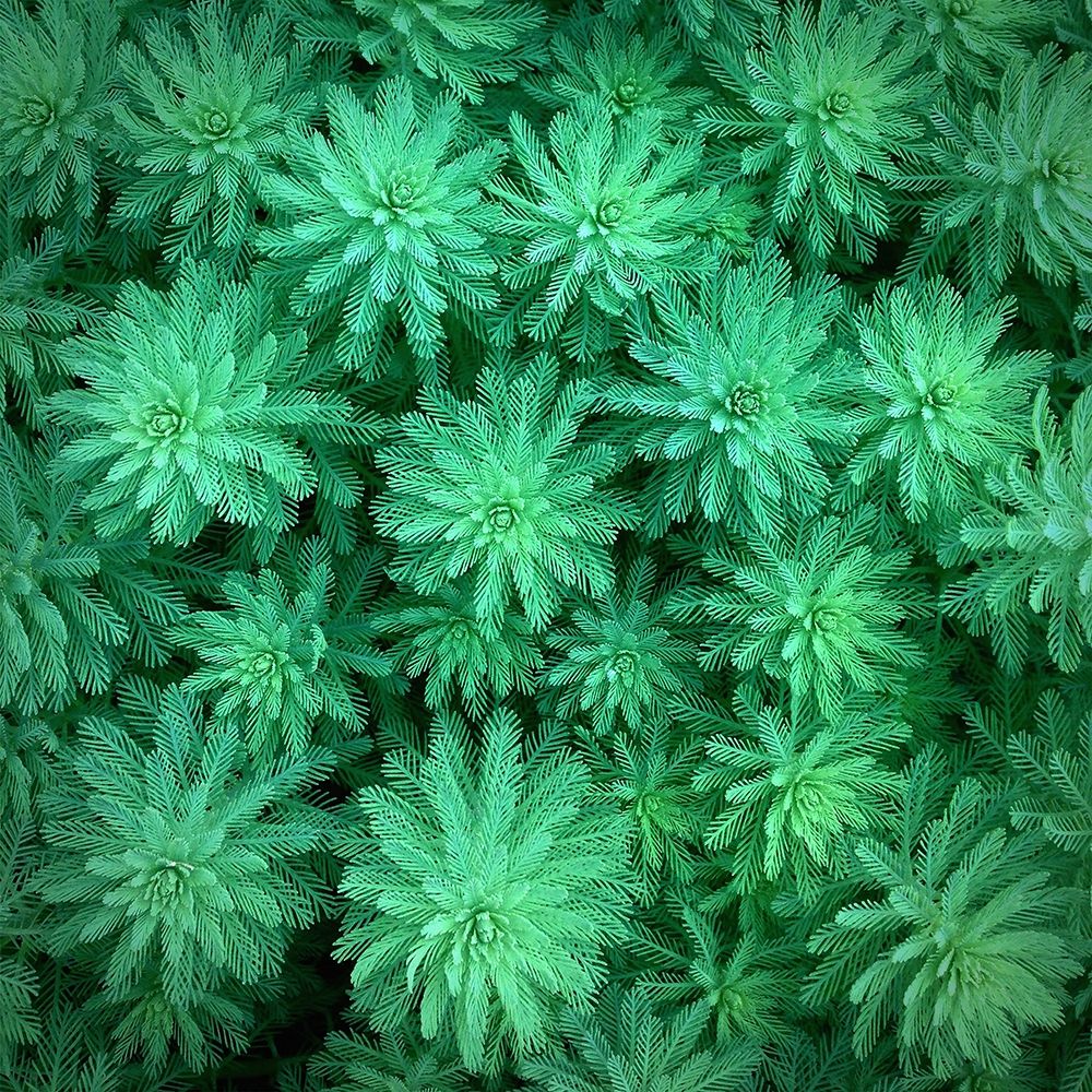 Similar wall art painting: 212070