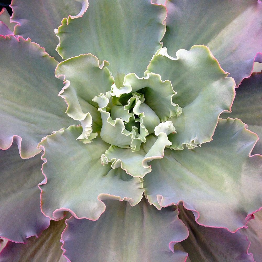 Similar wall art painting: 212071