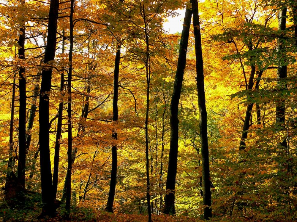 Similar wall art painting: 82624