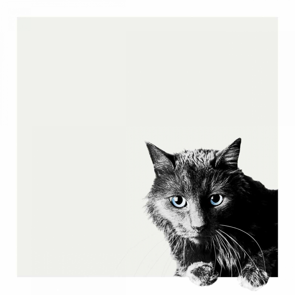 Similar wall art painting: 88243