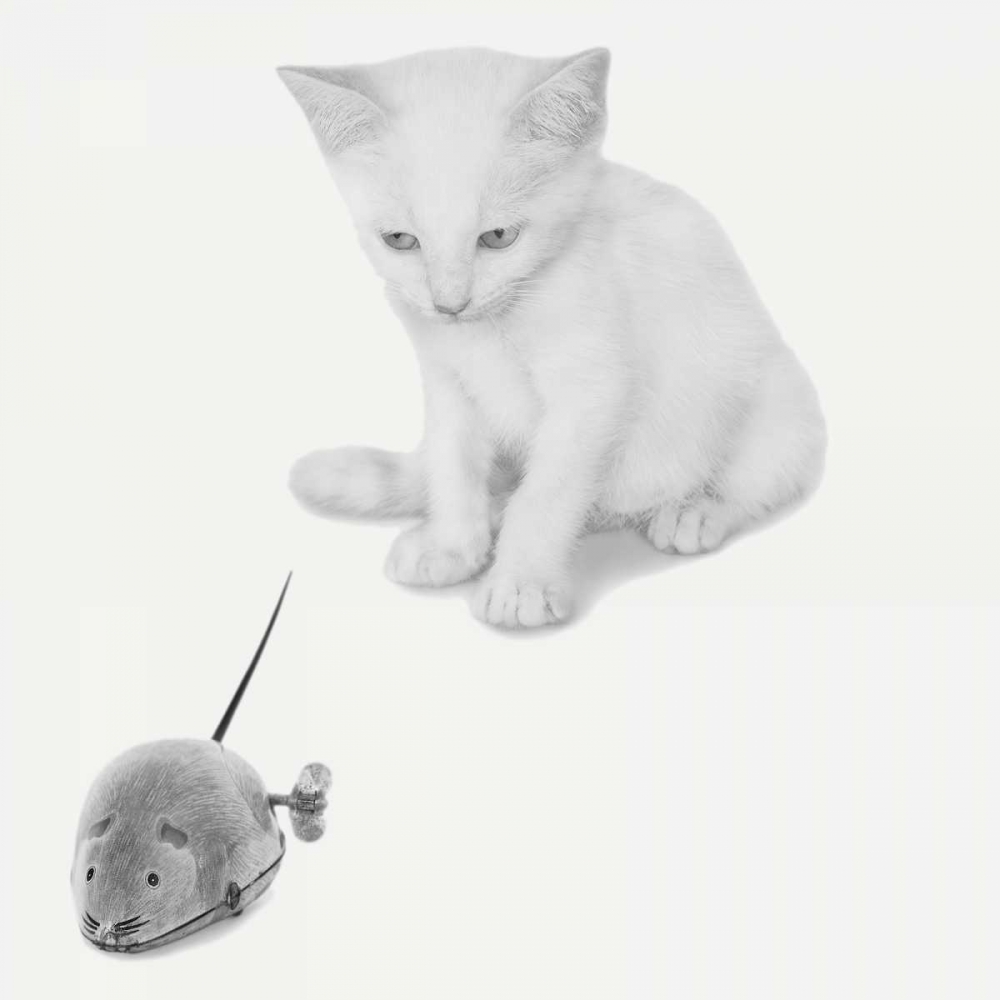 Similar wall art painting: 151258