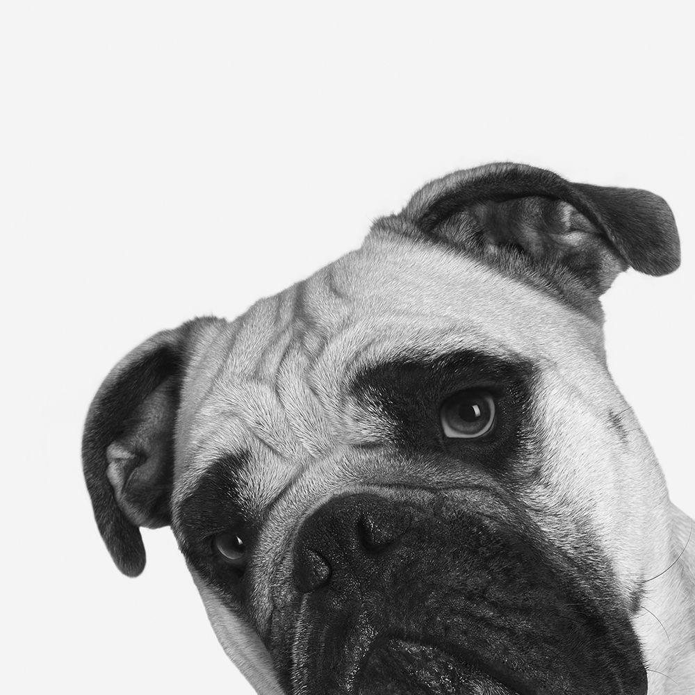 Similar wall art painting: 192265