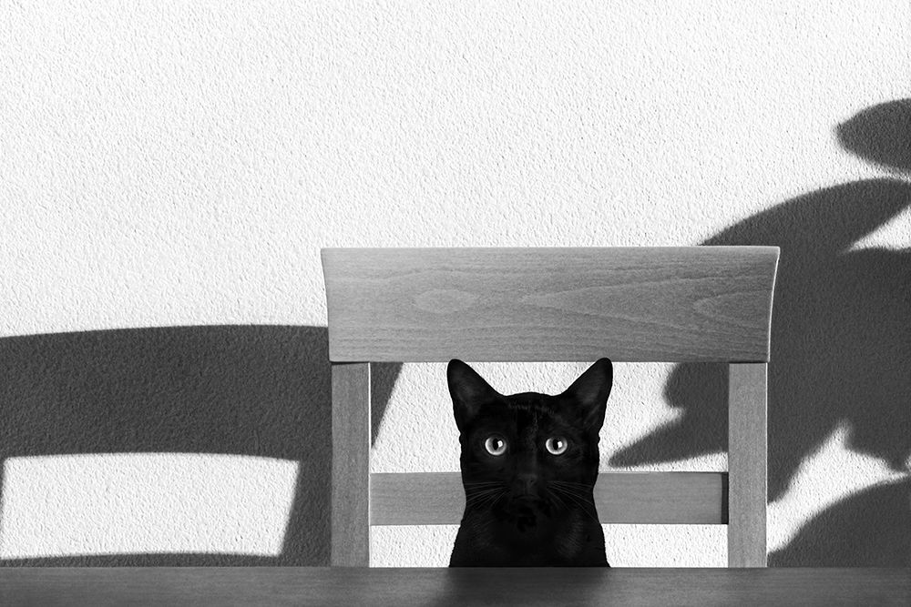 Similar wall art painting: 192269