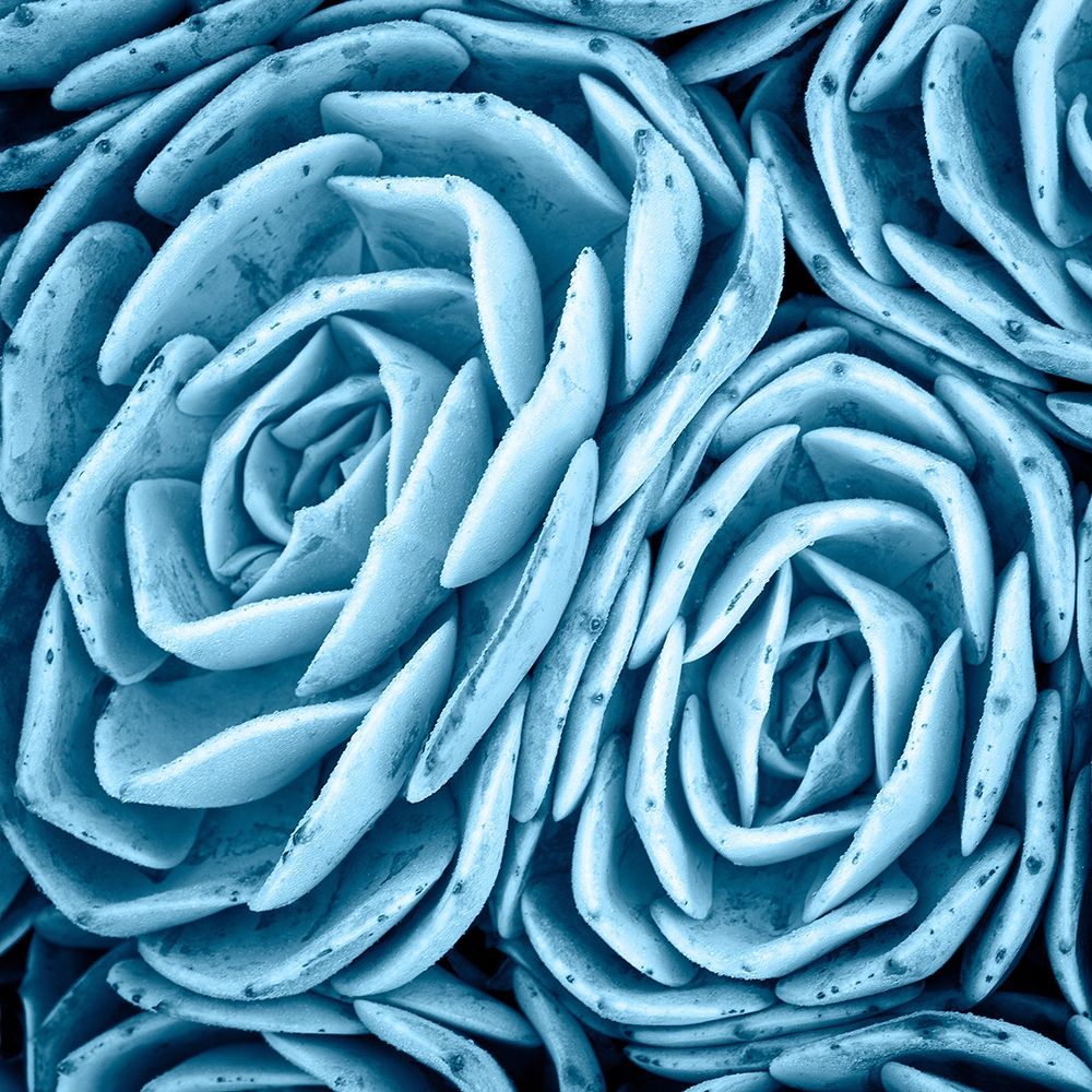 Similar wall art painting: 243835