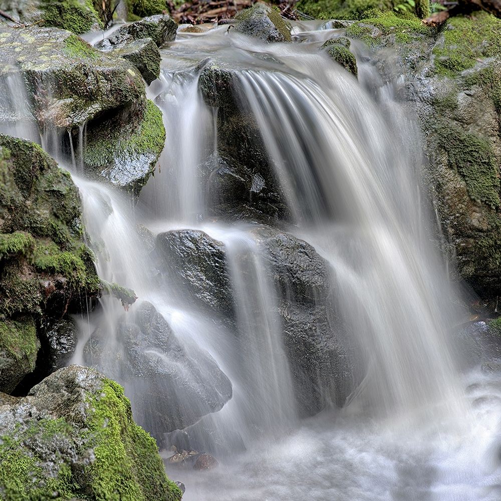 Wall Art Painting id:254807, Name: Canyon Fallls No. 5, Artist: Blaustein, Alan