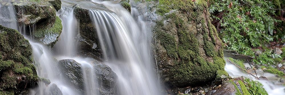 Wall Art Painting id:254808, Name: Canyon Falls No. 10, Artist: Blaustein, Alan