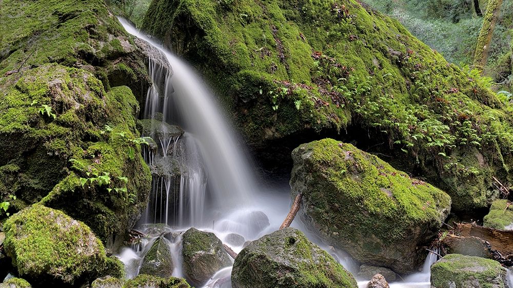 Wall Art Painting id:254810, Name: Canyon Falls No. 13, Artist: Blaustein, Alan