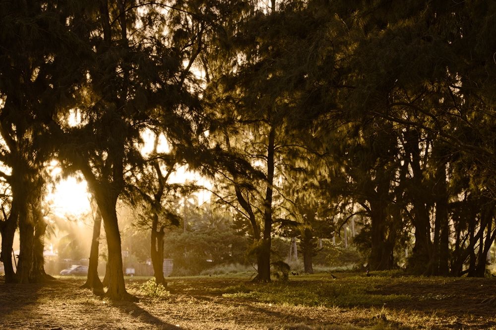 Similar wall art painting: 254820