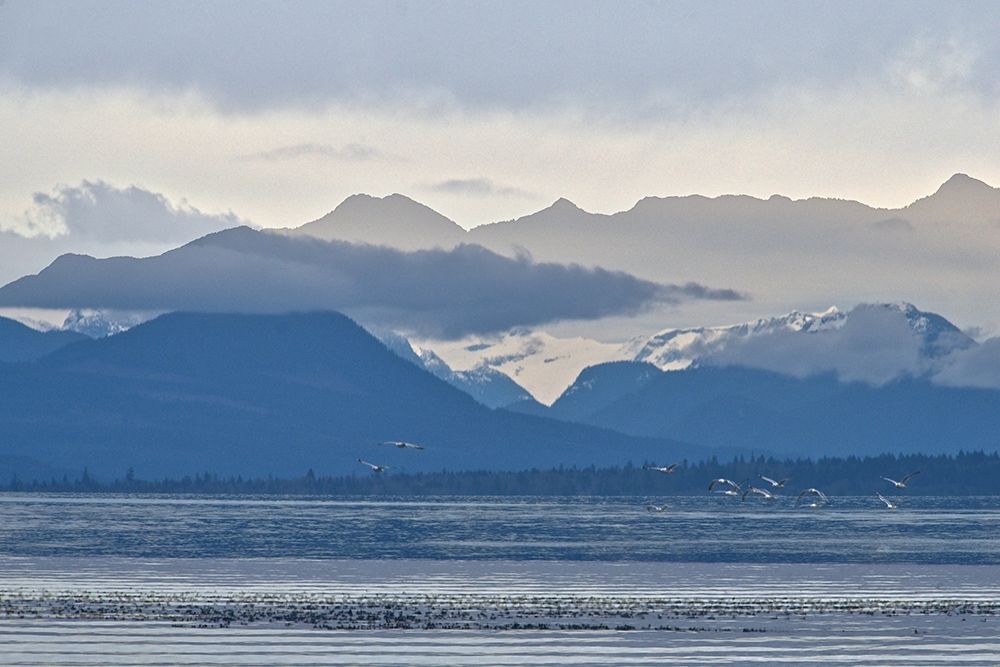 Similar wall art painting: 278264