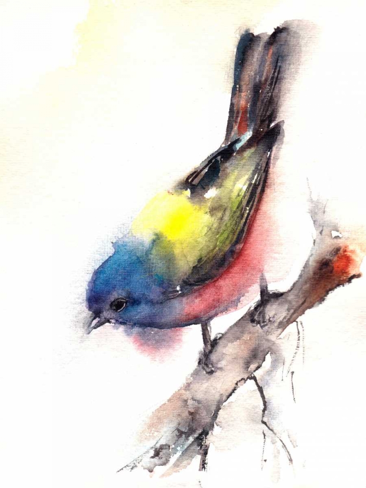Wall Art Painting id:65593, Name: Bunting Bird, Artist: CanotStop