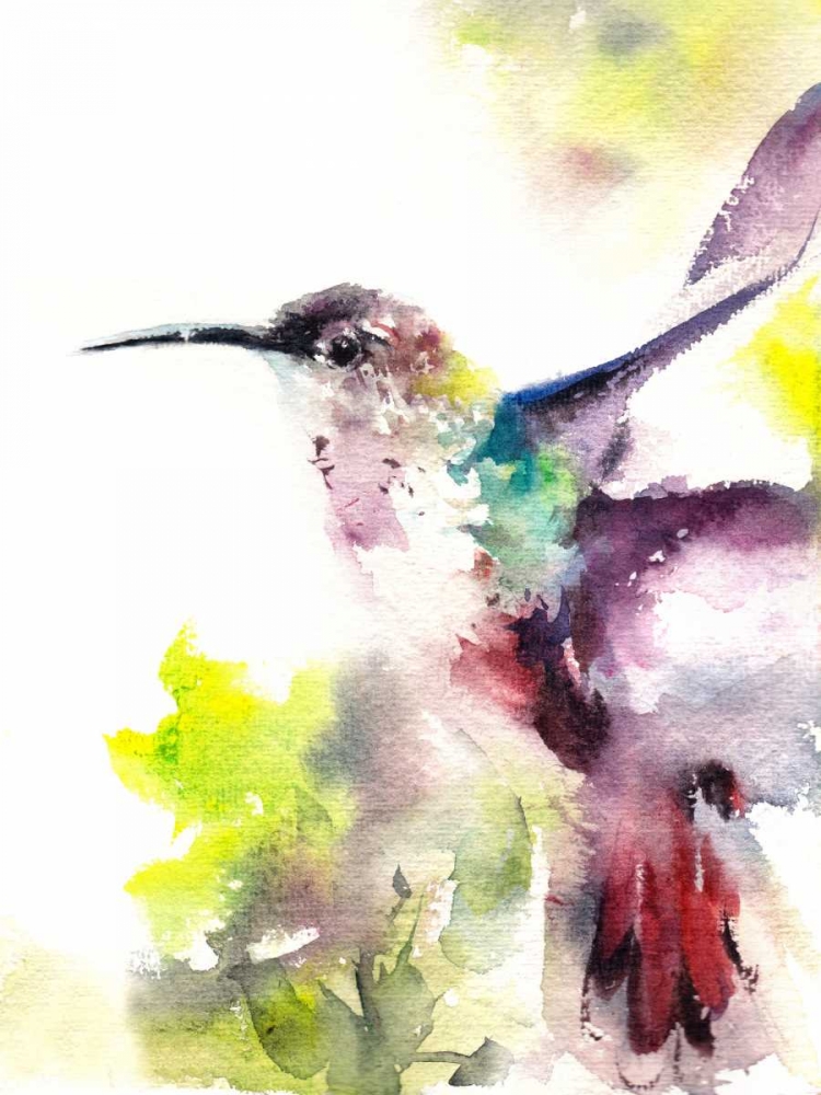 Wall Art Painting id:65594, Name: Hummingbird, Artist: CanotStop