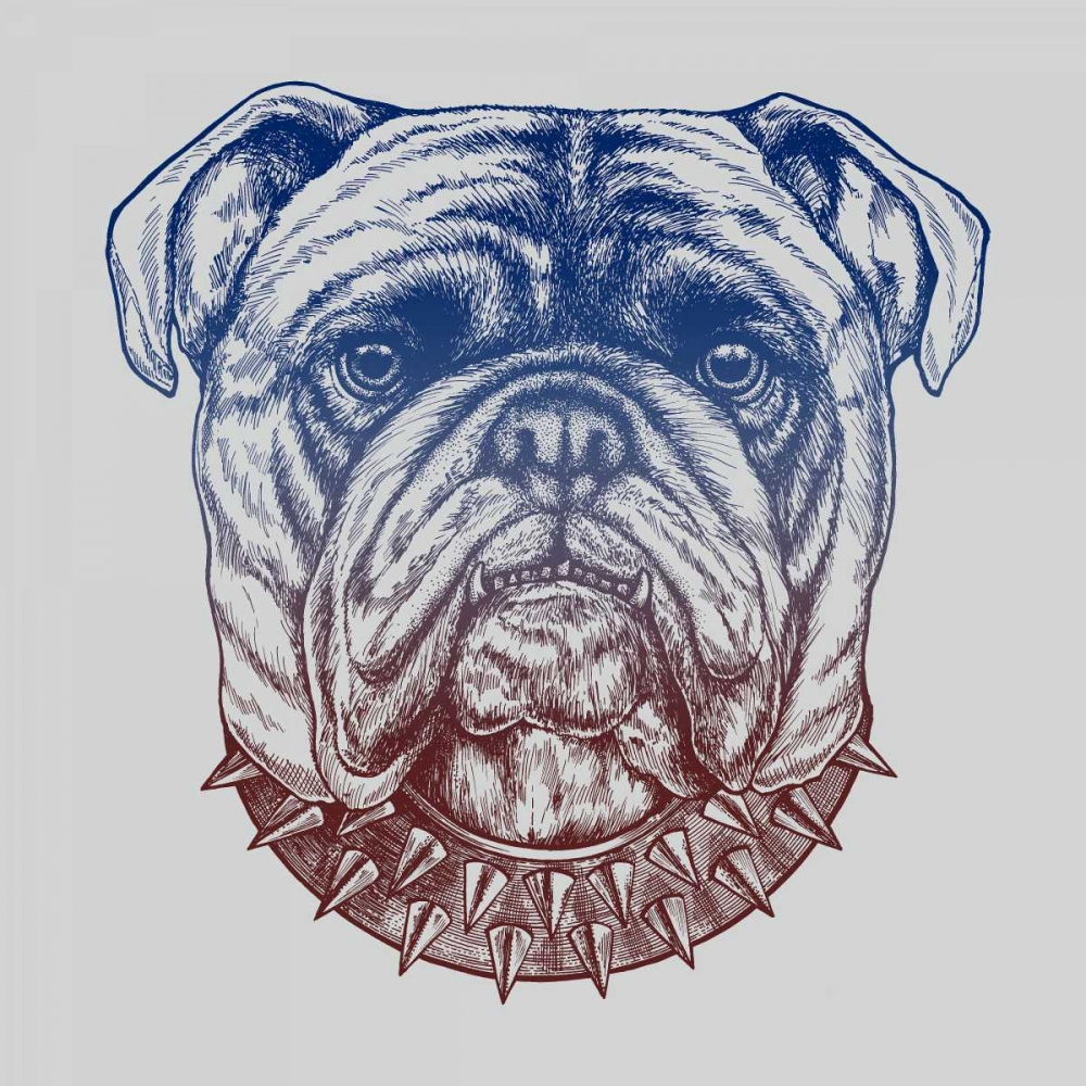 Wall Art Painting id:149676, Name: Gritty Bulldog, Artist: Caldwell, Rachel