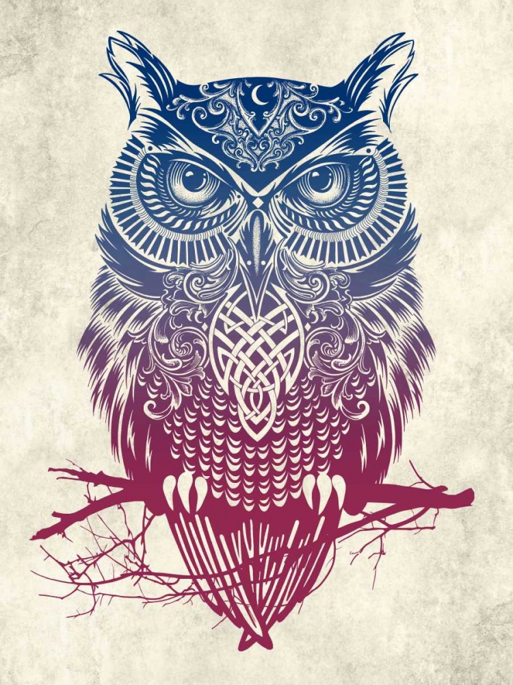 Wall Art Painting id:149685, Name: Warrior Owl, Artist: Caldwell, Rachel