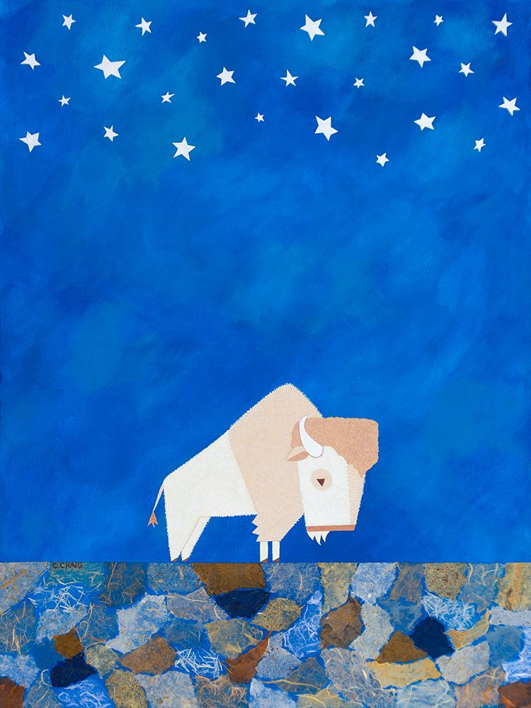 Wall Art Painting id:670740, Name: Bison Beneath the Stars I, Artist: Craig, Casey