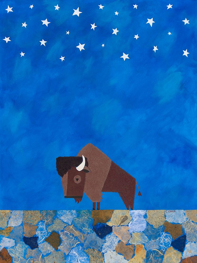 Wall Art Painting id:670741, Name: Bison Beneath the Stars II, Artist: Craig, Casey