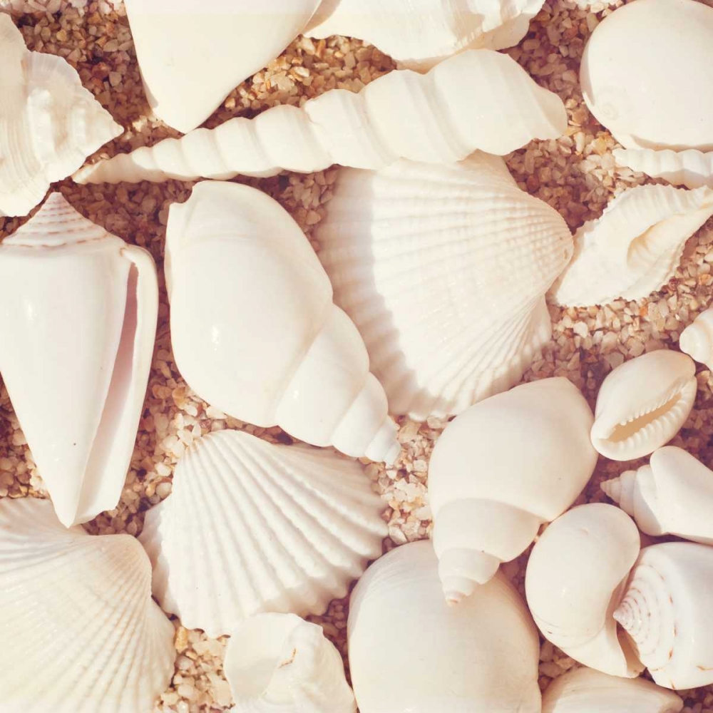 Similar wall art painting: 13674