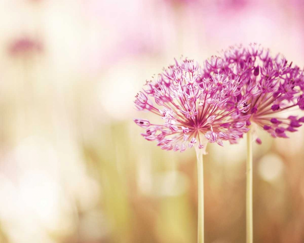 Similar wall art painting: 13675