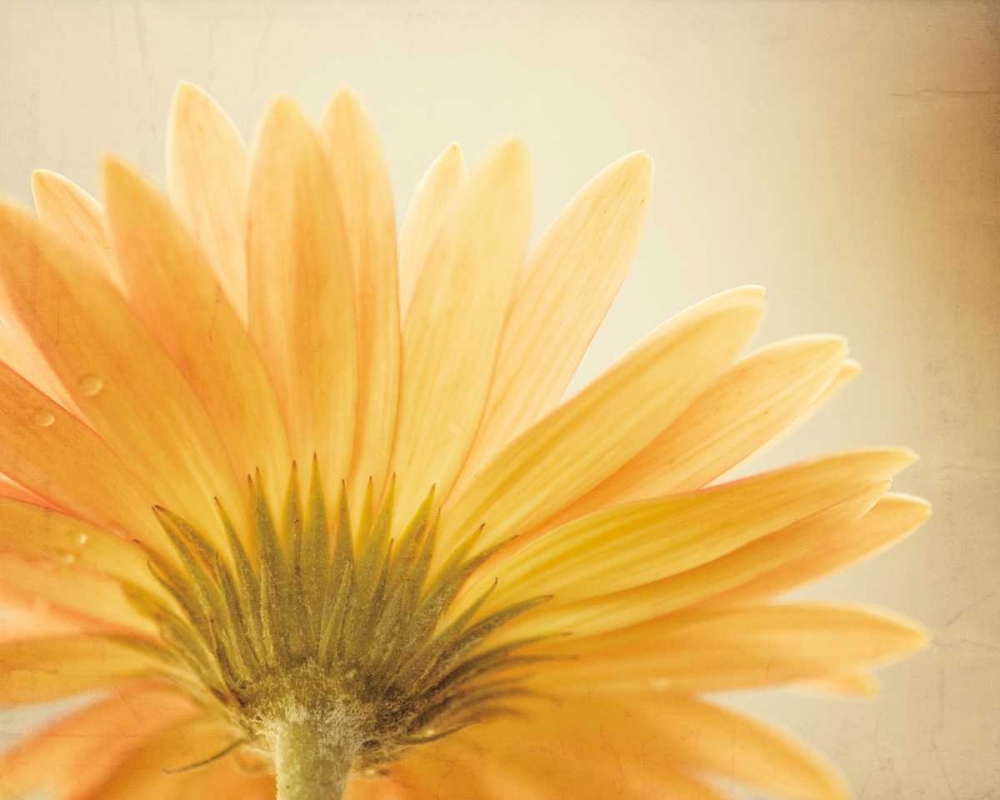 Similar wall art painting: 13676