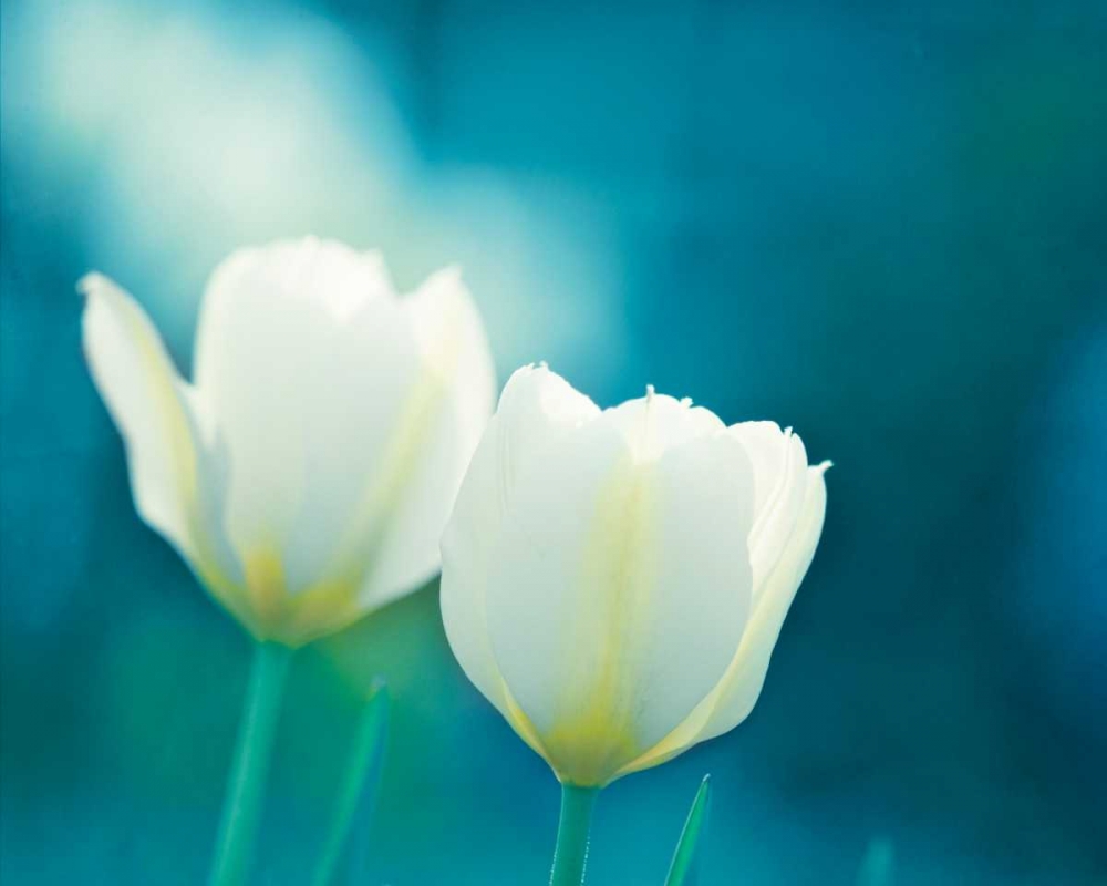 Similar wall art painting: 13678