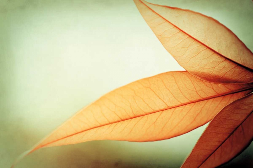 Similar wall art painting: 13684