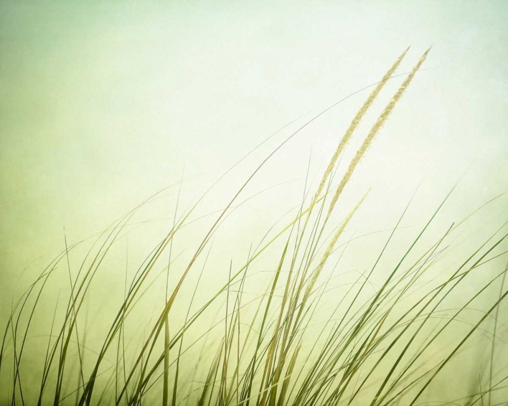 Similar wall art painting: 13689