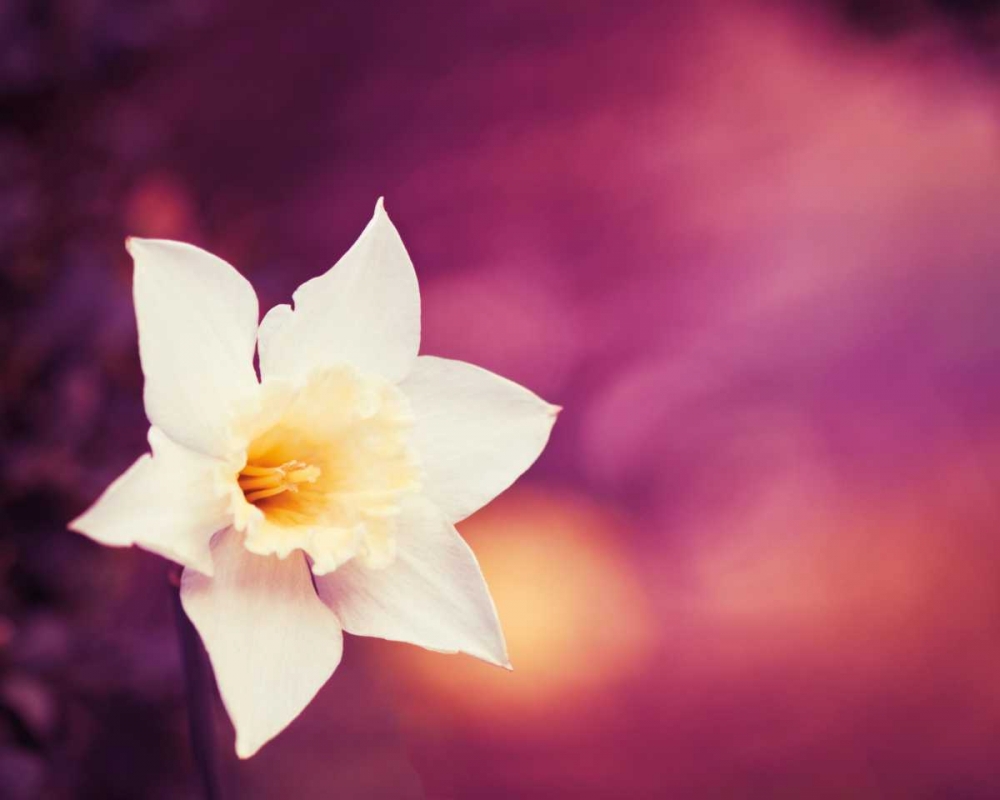 Similar wall art painting: 13694