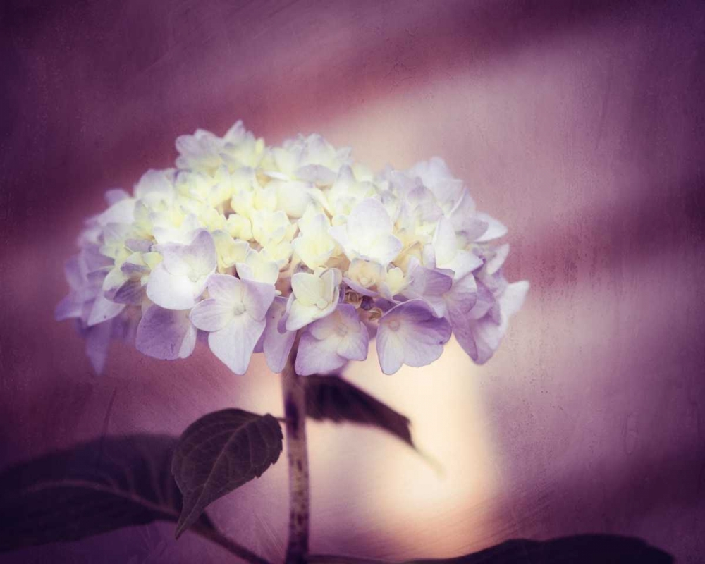 Similar wall art painting: 13698