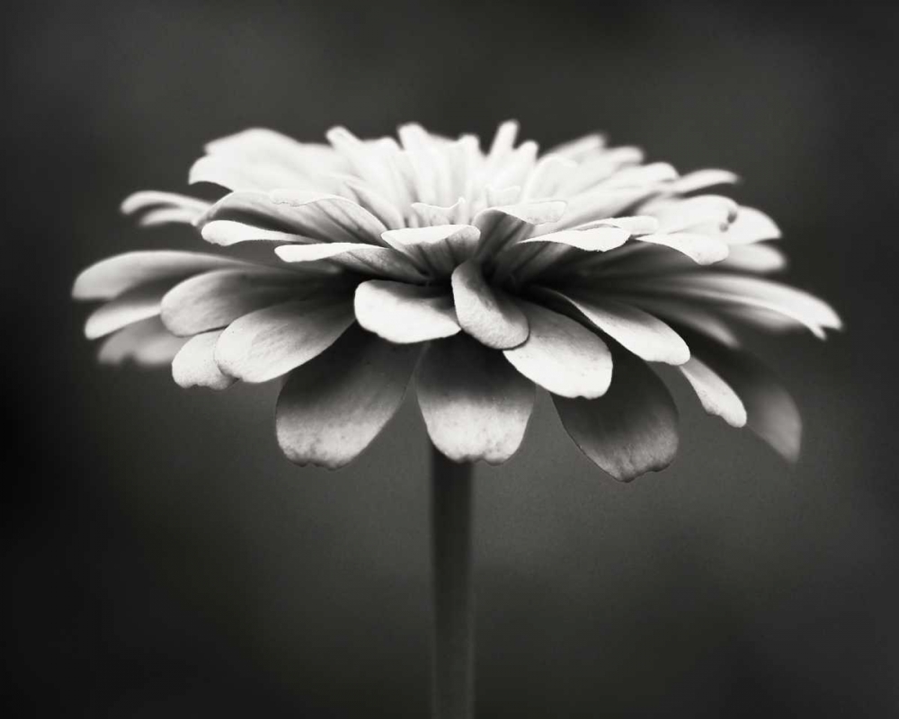 Similar wall art painting: 13708