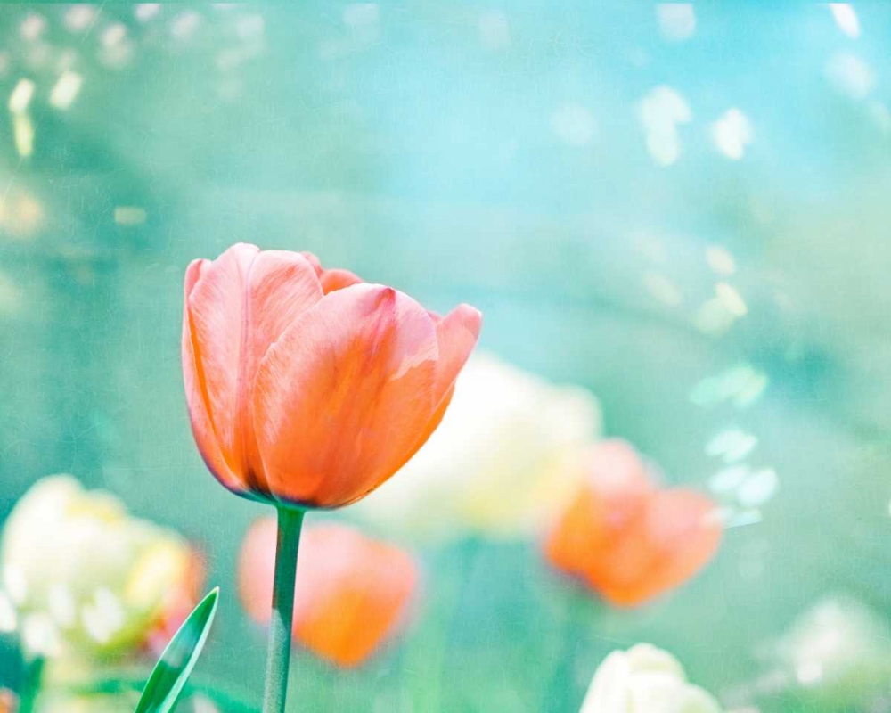 Similar wall art painting: 32767