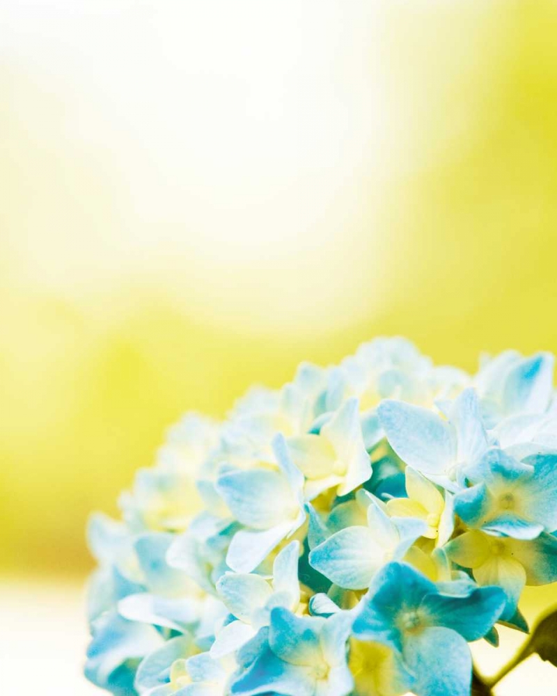 Similar wall art painting: 32768