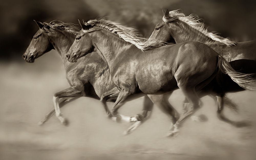 Similar wall art painting: 488900