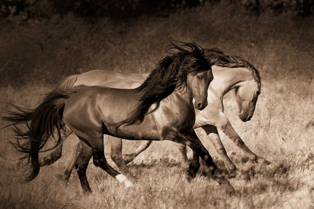 Similar wall art painting: 14845