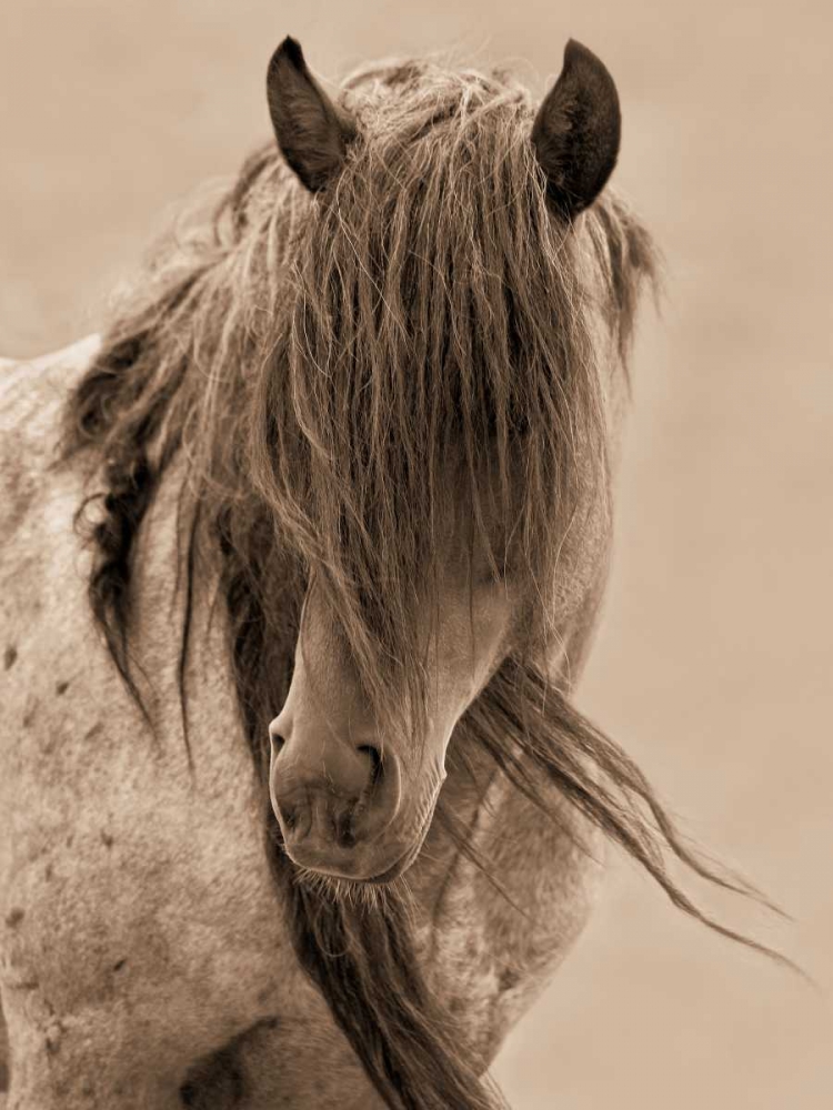 Similar wall art painting: 14841