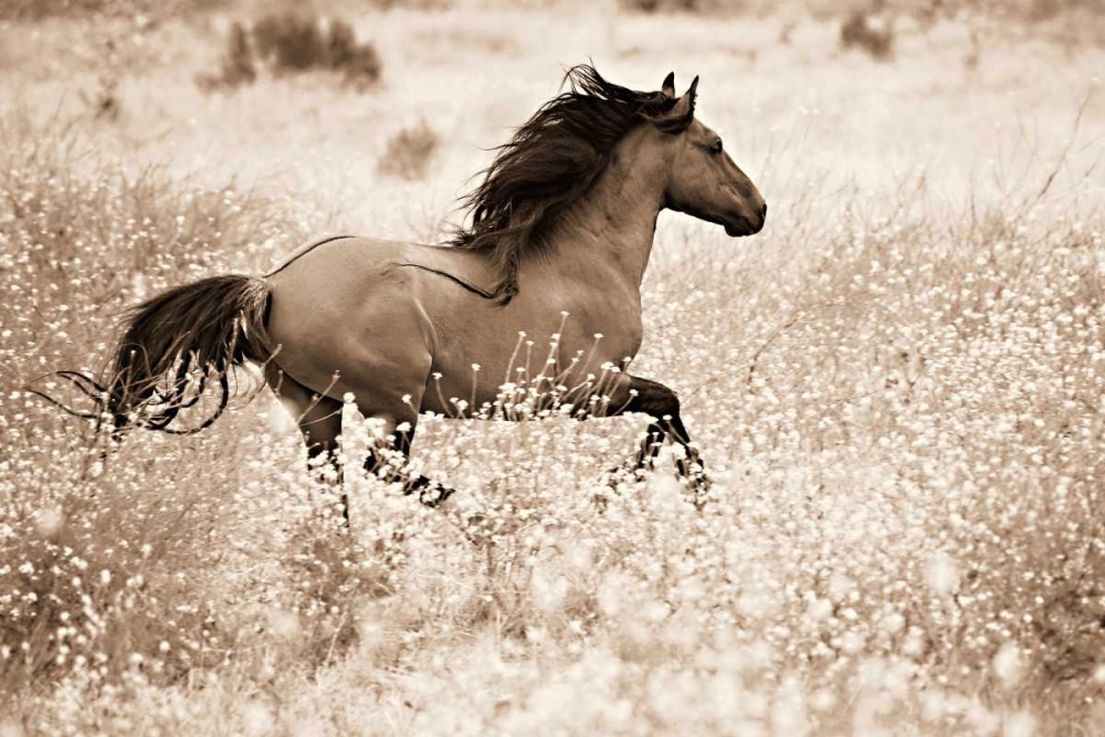 Similar wall art painting: 14844