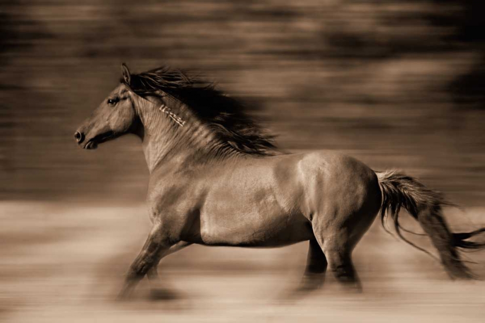 Similar wall art painting: 14846