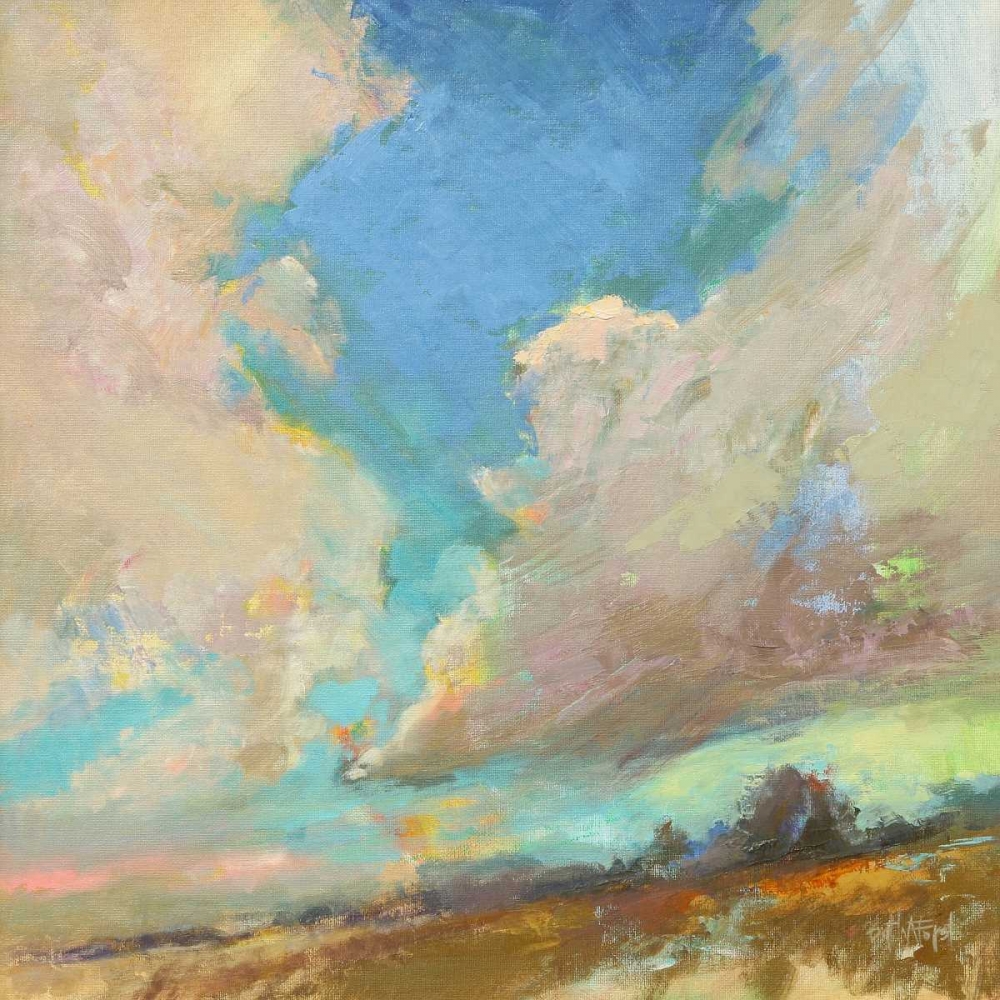 Wall Art Painting id:107233, Name: Clouds Got in My Way, Artist: Forst, Beth A.