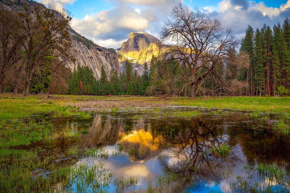 Similar wall art painting: 248776