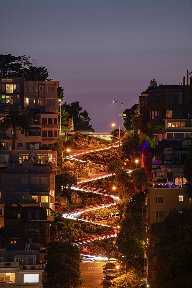 Wall Art Painting id:310962, Name: Lombard Street 2, Artist: Getty, Bruce