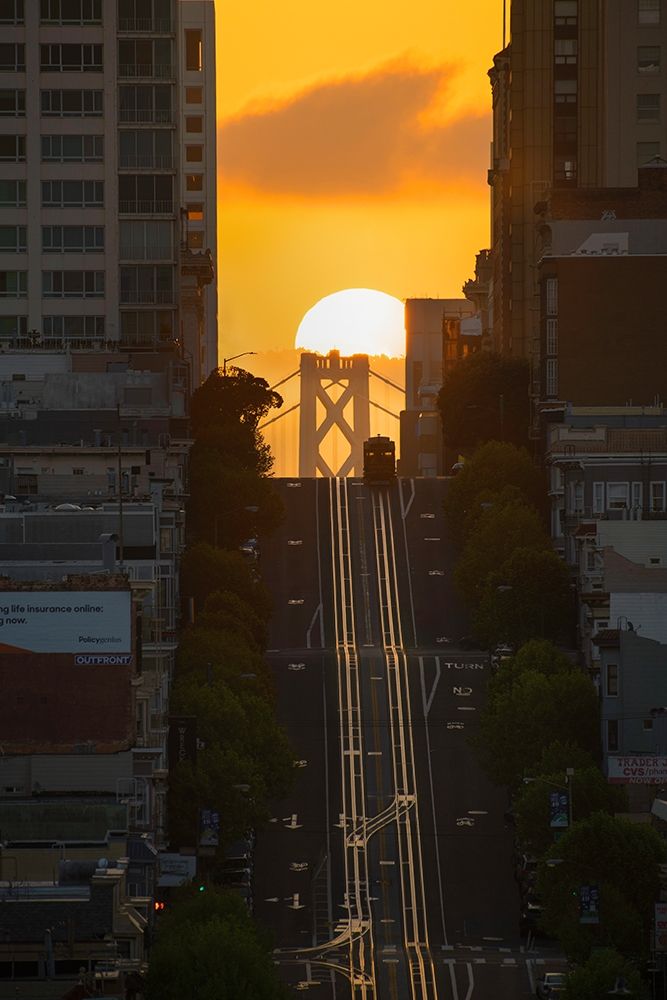 Wall Art Painting id:310964, Name: Lombard Street Cable Car, Artist: Getty, Bruce