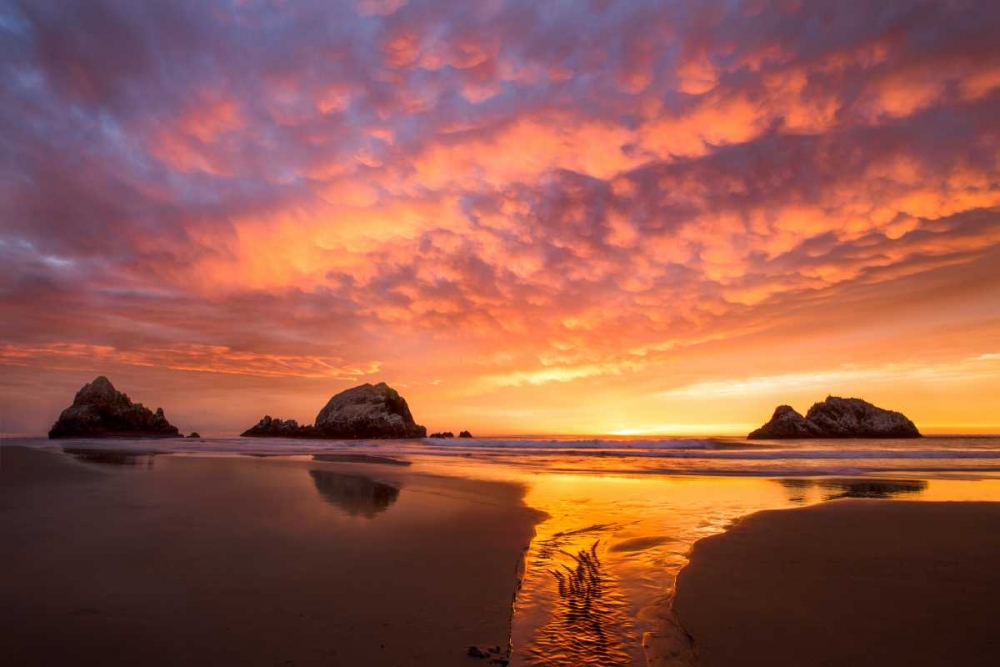 Similar wall art painting: 149693