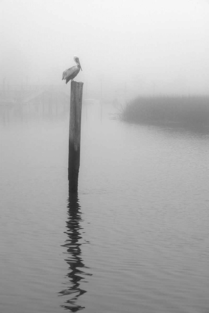 Similar wall art painting: 65550