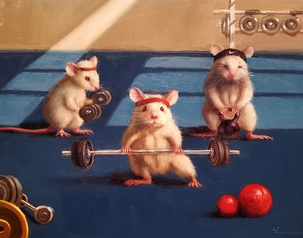 Wall Art Painting id:336542, Name: Gym Rats, Artist: Heffernan, Lucia