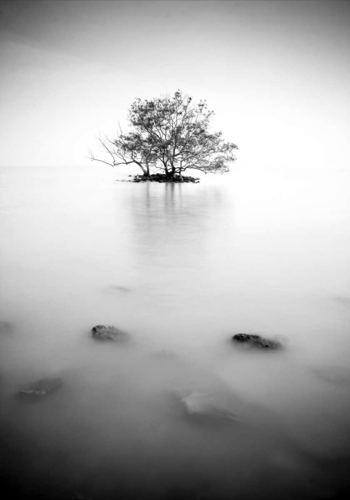 Similar wall art painting: 140138